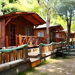 House Uzungol *** Трабзон